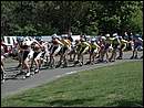 DSCN9503.JPG