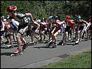 DSCN9531.JPG