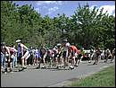 DSCN9546.JPG