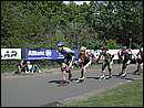 DSCN9650.JPG