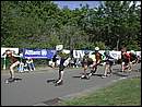 DSCN9668.JPG