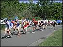 DSCN9684.JPG