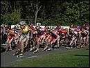DSCN9384.JPG