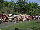 DSCN9389.JPG
