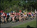 DSCN9399.JPG