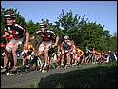 DSCN9432.JPG