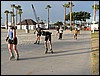 051016-073158lax.jpg