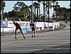 051016-080714lax-1.jpg